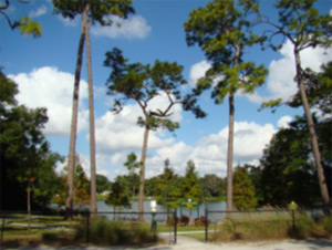 Crystal Lake Neighborhood Park