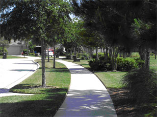 Sidewalk in suburban neighborhood